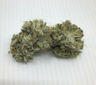 ZAZA - PUSH POP SMALLS