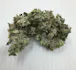 Product Preview Image 1