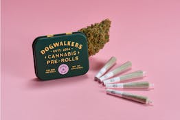 [REC] Dogwalkers | Lions Mane | 1.75g/5pk Prerolls