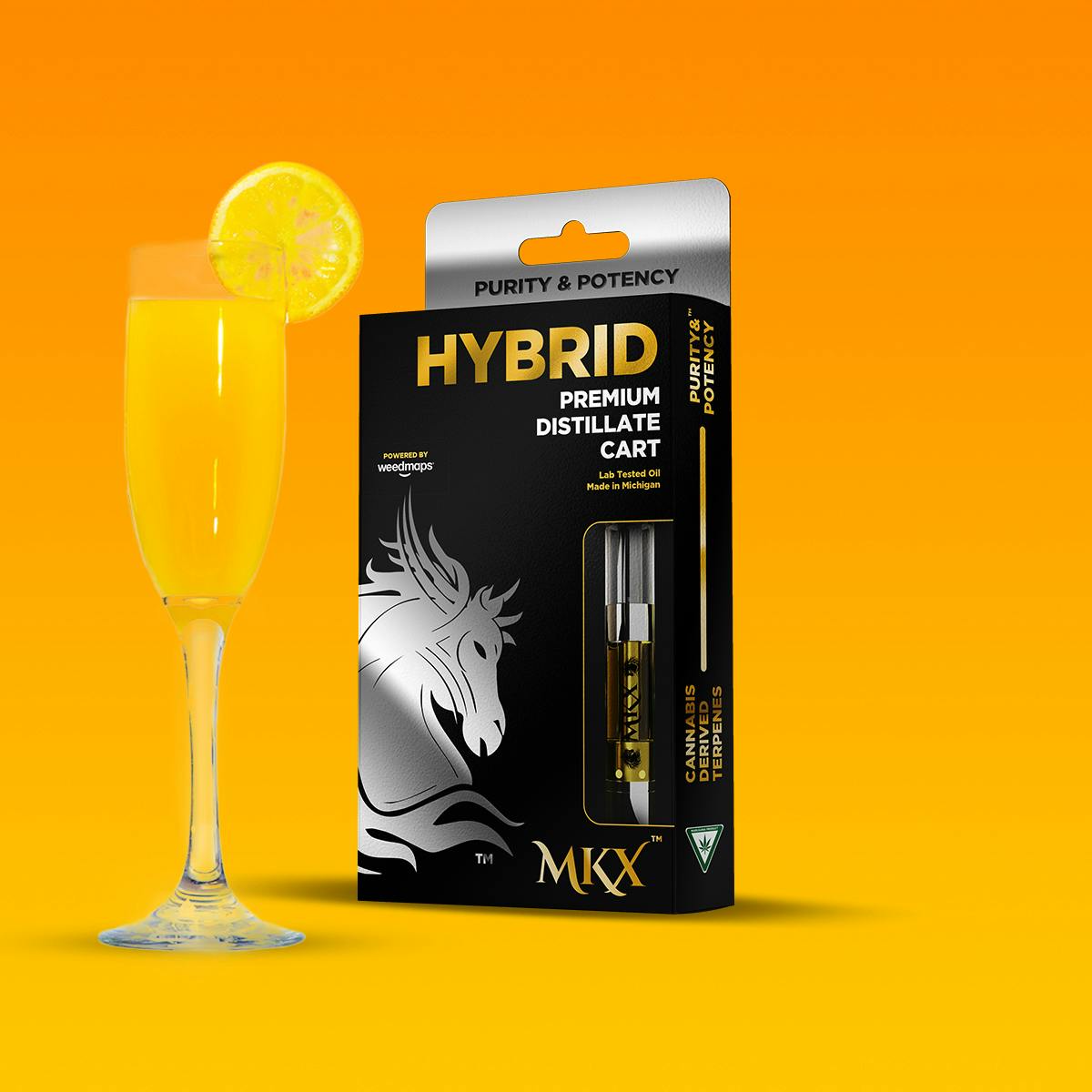 282595_Mimosa.jpg