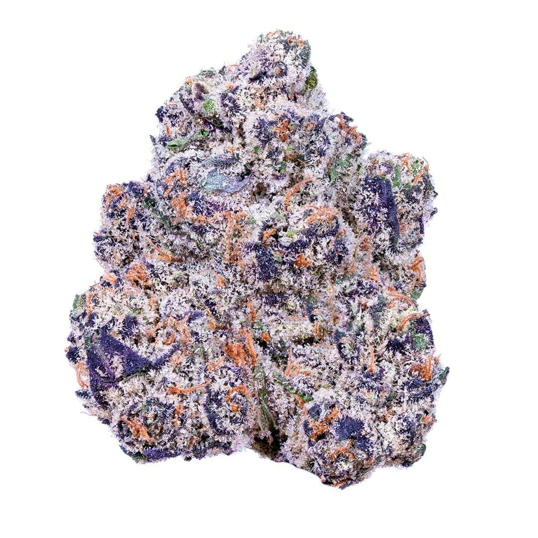 KryptoChronic (H)