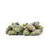 Product Preview Image 2