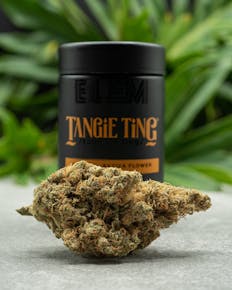 TANGIE TING