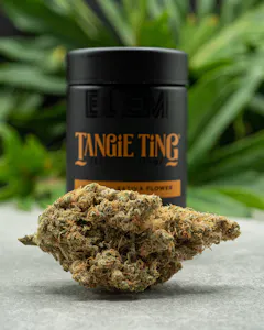 BLEM - TANGIE TING | 3.5g | BLEM