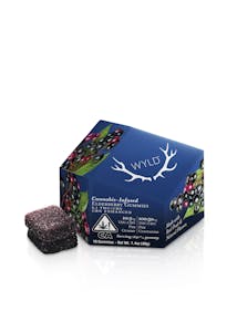WYLD - [REC] WYLD | Elderberry Sleep 2:1 THC:CBN | 100mg/10ct