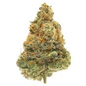 WCC | Flower | Headstash Indoor | Garlic Juice | 3.5g