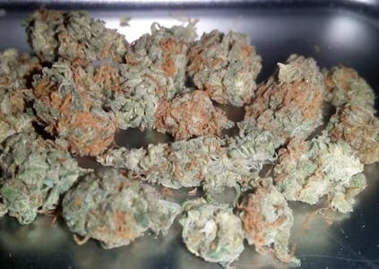 ZAZA - WHITE RHINO SMALLS