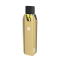STIIIZY | BIIIG | Gold | Battery