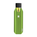 Stiiizy Battery - BIIIG - Green