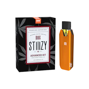 STIIIZY - Stiiizy Biiig Battery + Charger Orange