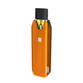 STIIIZY | BIIIG | Orange | Battery