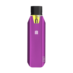 STIIIZY - Stiiizy Battery - BIIIG - Purple