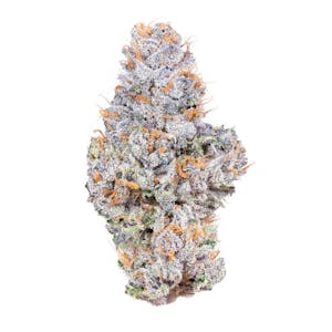 CONNECTED - CONNECTED | GELATO 41 | FLOWER | 3.5G