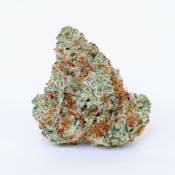Spanish Lime Haze | 3.5g Indoor