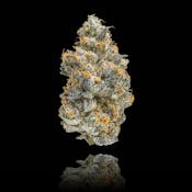 Maven Genetics| Blue Lotus |3.5g