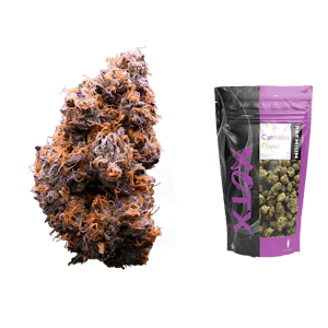 XOTX - XOTX High Fructose Corn Syrup 14g Flower