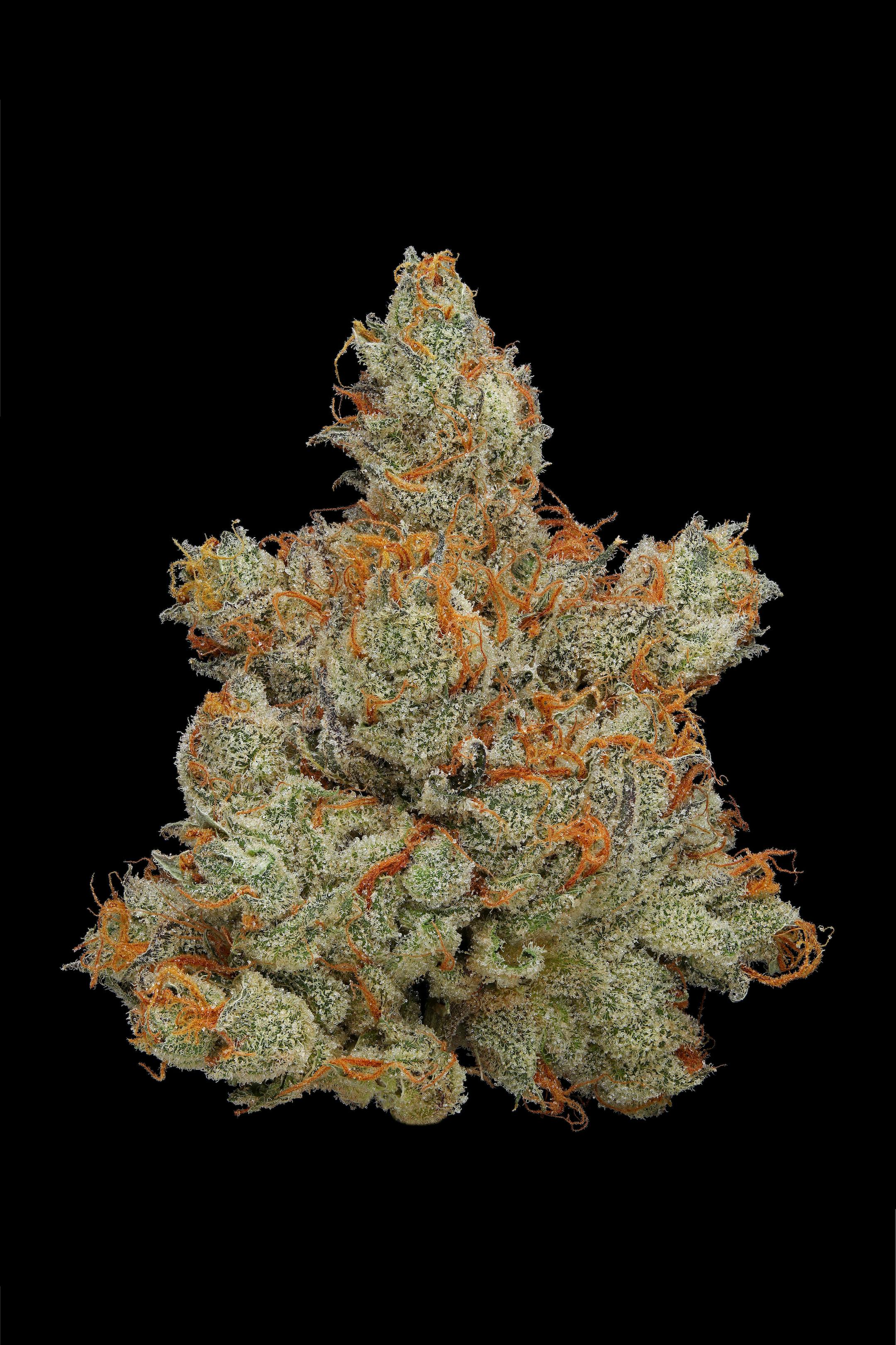 Diamond Dust Amazon.com: FloraCraft Diamond Dust Glitter 3 Ounce Clear Glass