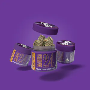 Traditional - Mamba 24 - 3.5g Premium Exotic Flower (Traditional)