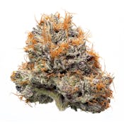 Blue Unicorn 3.5G