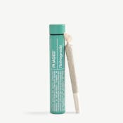 Kick Back Pre-Roll