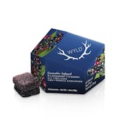 100mg THC 50mg CBN WYLD Enhanced Gummies - Elderberry 2:1