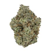 Grape Cream Cake - Indoor - 3.5g