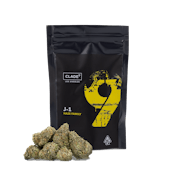 Clade9 J1 7g