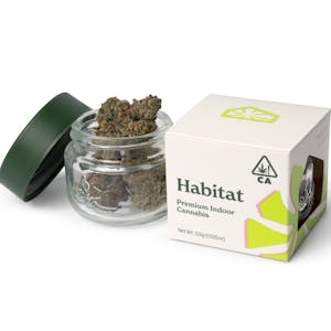 HABITAT - Habitat - Flower - Champagne - 3.5G