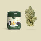 CBX | Gluetopia | 3.5g