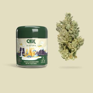 CANNABIOTIX - CBX - Gluetopia - (H) 3.5g