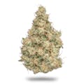 Northern Emeralds: WTF OG 3.5g