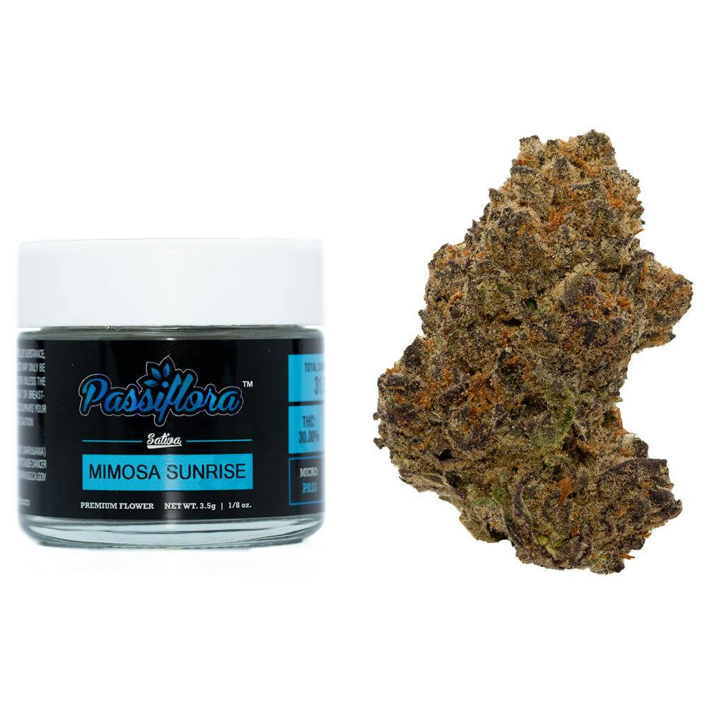 ◆ mimosa Mimosa Feminized Seeds - Kind Seed Co