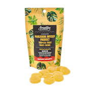 Tropical Fruit | Gummies | 100mg/10 Pieces | Smokiez