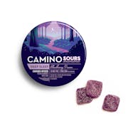 CAMINO Sours | "Deep Sleep" Blackberry Dream Gummies | 100MG