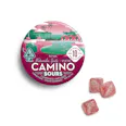 Camino - Edibles - Sours Watermelon Spritz - 100mg