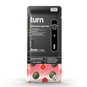 Turn - watermelon sugar high (i-hybrid) / botanica blends / 1g disposable