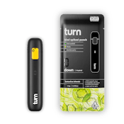 Turn | Kiwi Spiked Punch | 1g Disposable