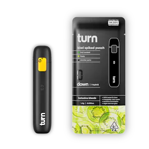 turn - Turn | Kiwi Spiked Punch | 1g Disposable