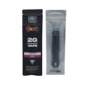 Fruit and Fuel | Runtz | Disposable Vape | 2g