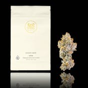MAVEN | ORANGE BELLINI SMALLS | FLOWER | 14G