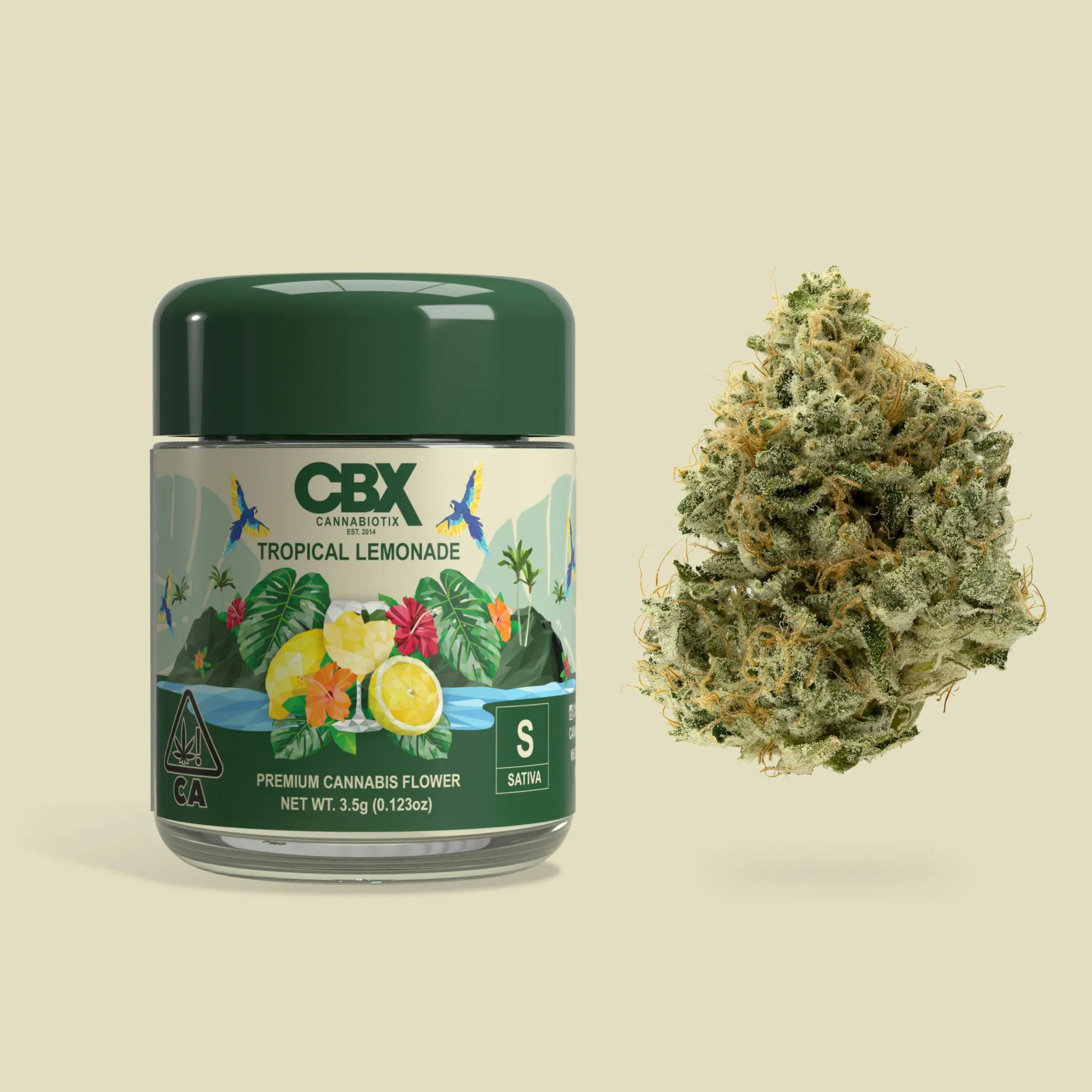 CBX: Cannabiotix - CBX - Tropical Lemonade Premium Flower Main Image
