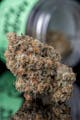 Khalifa Kush - Flower - Khalifa Mints - 3.5G
