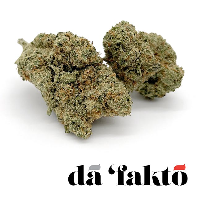 【新品・未開封】mojojojo TODD FRIENDS $_12.JPG?set_id=880000500F