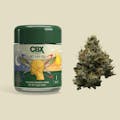 CBX: JET LAG OG 3.5G