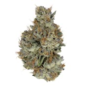 Ember Valley LA Runtz 3.5g Flower