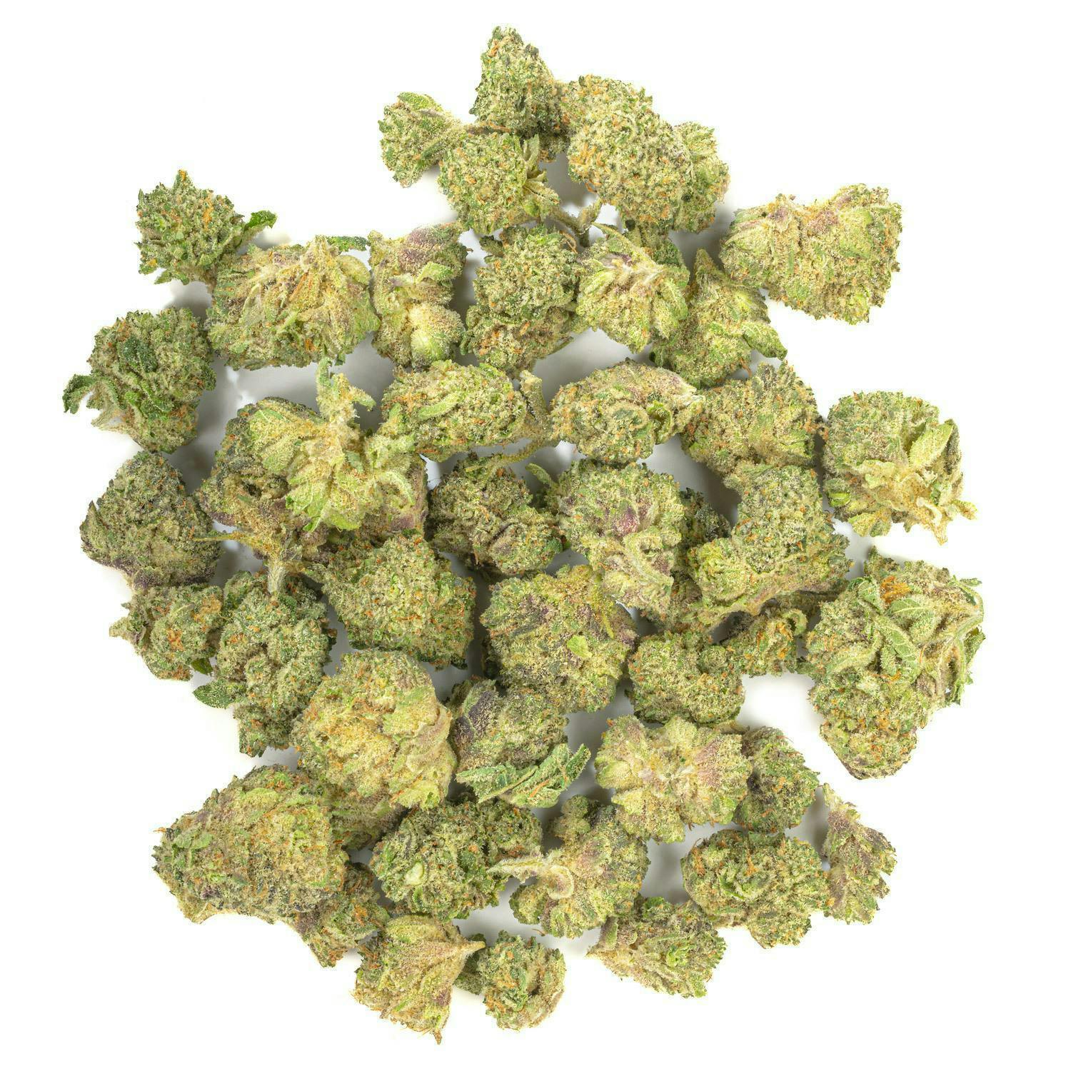 Tequila Sunrise - 7G Top Shelf Indoor Smalls - West Coast Cure