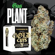 CLAYBOURNE | GAS PLANT | FLOWER | 3.5G