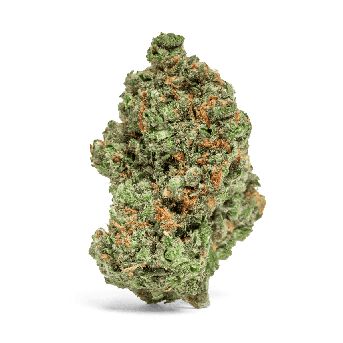 MR. ZIPS | XJ-13 | Sativa | Flower | 14g - MR. ZIPS