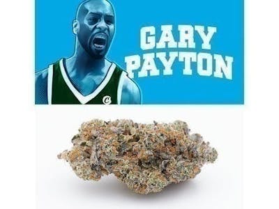 COOKIES - Gary Payton 3.5 Grams By Cookies