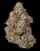 Secret Cookies | Firefly Organics 